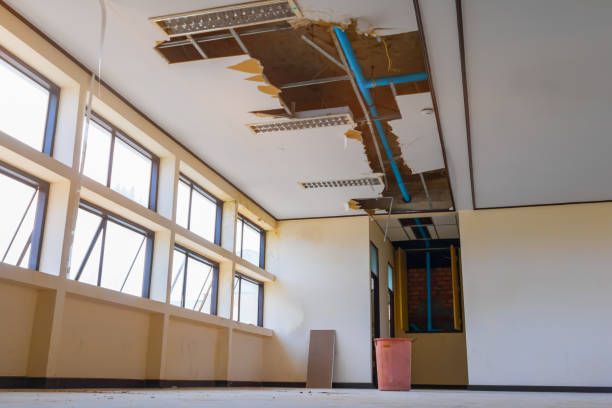 Best Water damage restoration specialists  in Smithville, OH