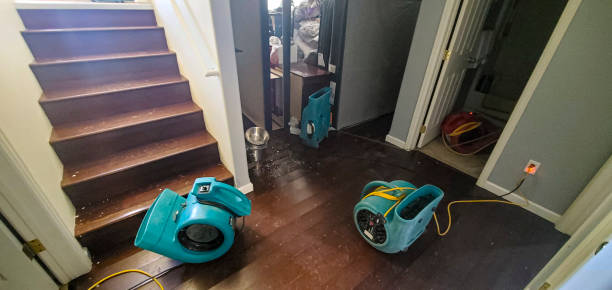 Best Water damage restoration near me  in Smithville, OH