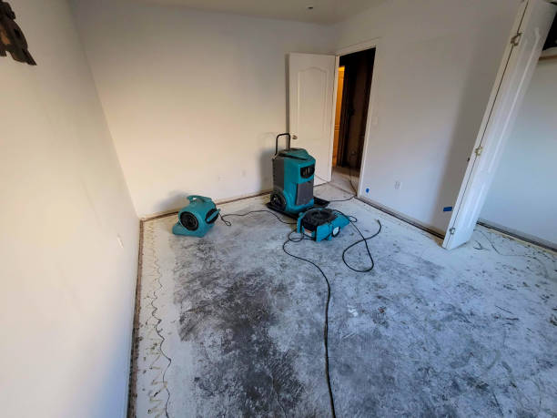 Best Carpet water damage restoration  in Smithville, OH