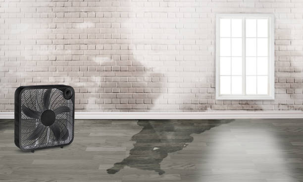 Best 24-hour water damage restoration  in Smithville, OH