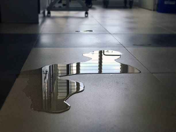 Best Water damage contractors near me  in Smithville, OH