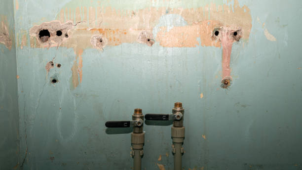 Best Flooded house restoration  in Smithville, OH
