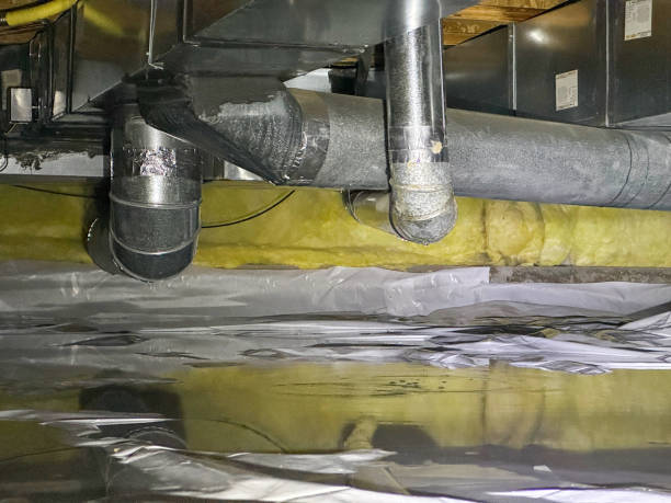 Best Local water damage restoration  in Smithville, OH