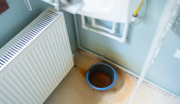 Best Water damage cleanup near me  in Smithville, OH