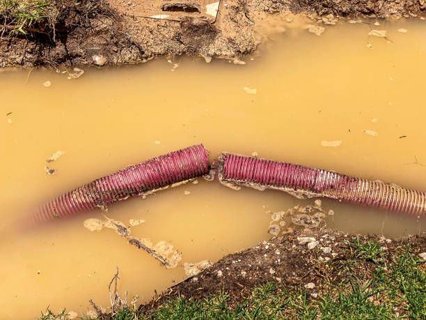 Best 24/7 water damage repair  in Smithville, OH