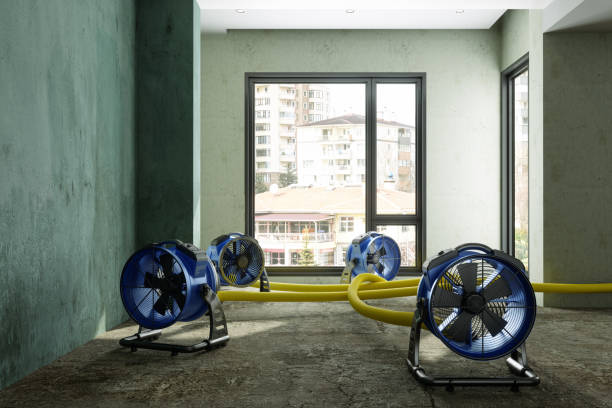 Best Commercial water damage restoration  in Smithville, OH